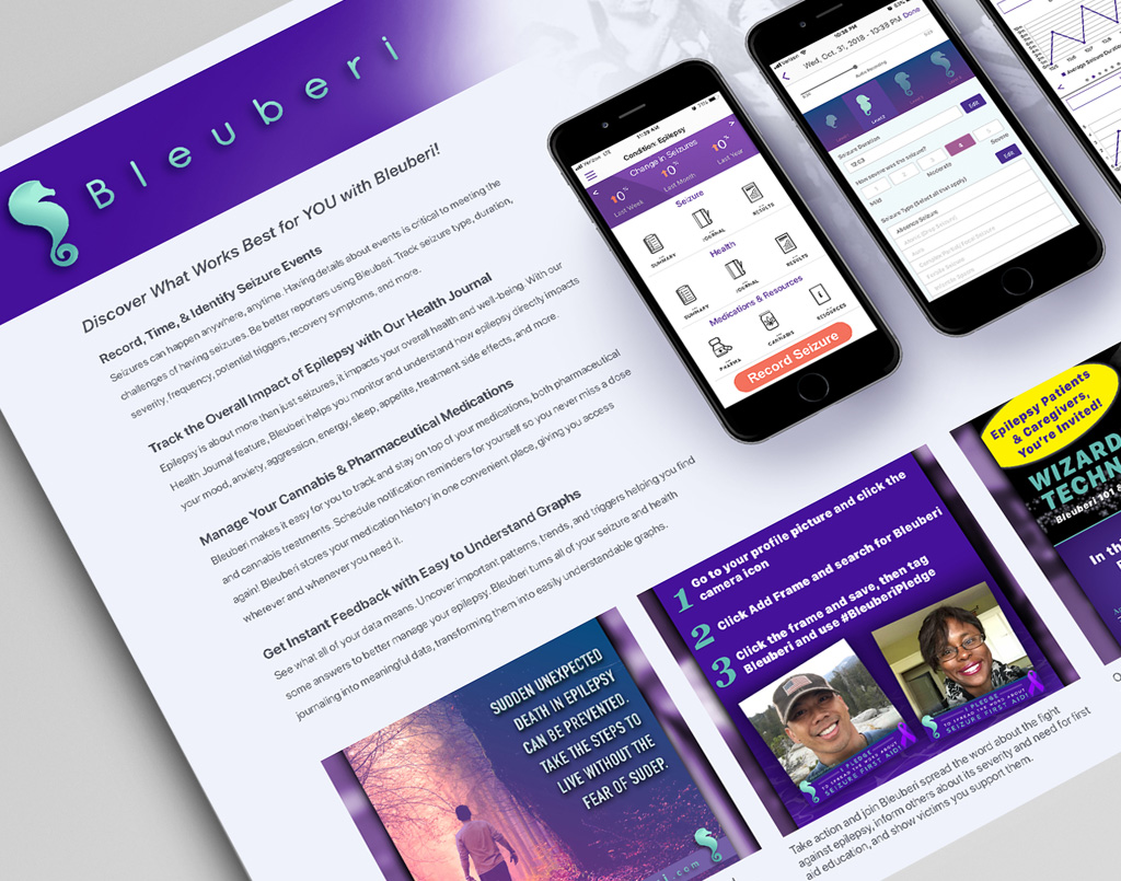 Bleuberi Overview & UI Designs